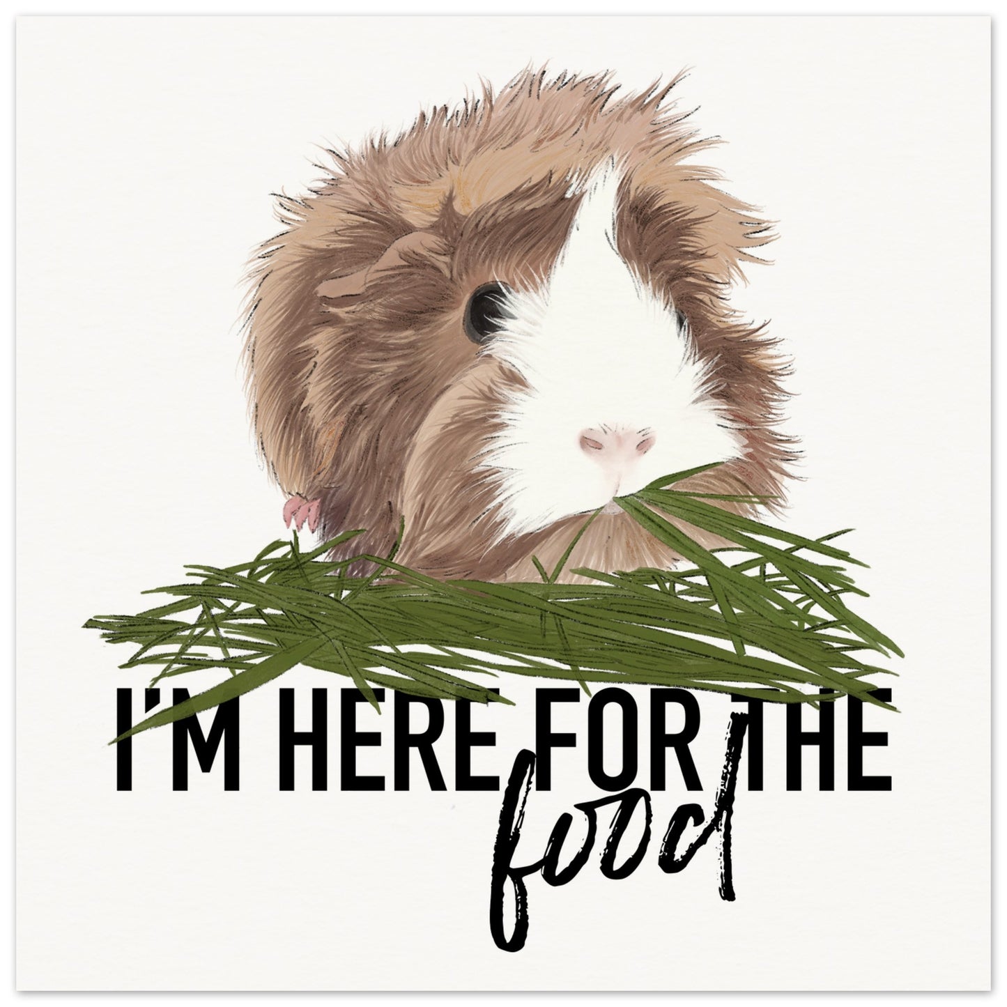 49444fa4-0e10-4505-a786-a1923d3d3de3