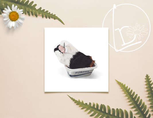 Butter Wouldn't Melt Darcy Print