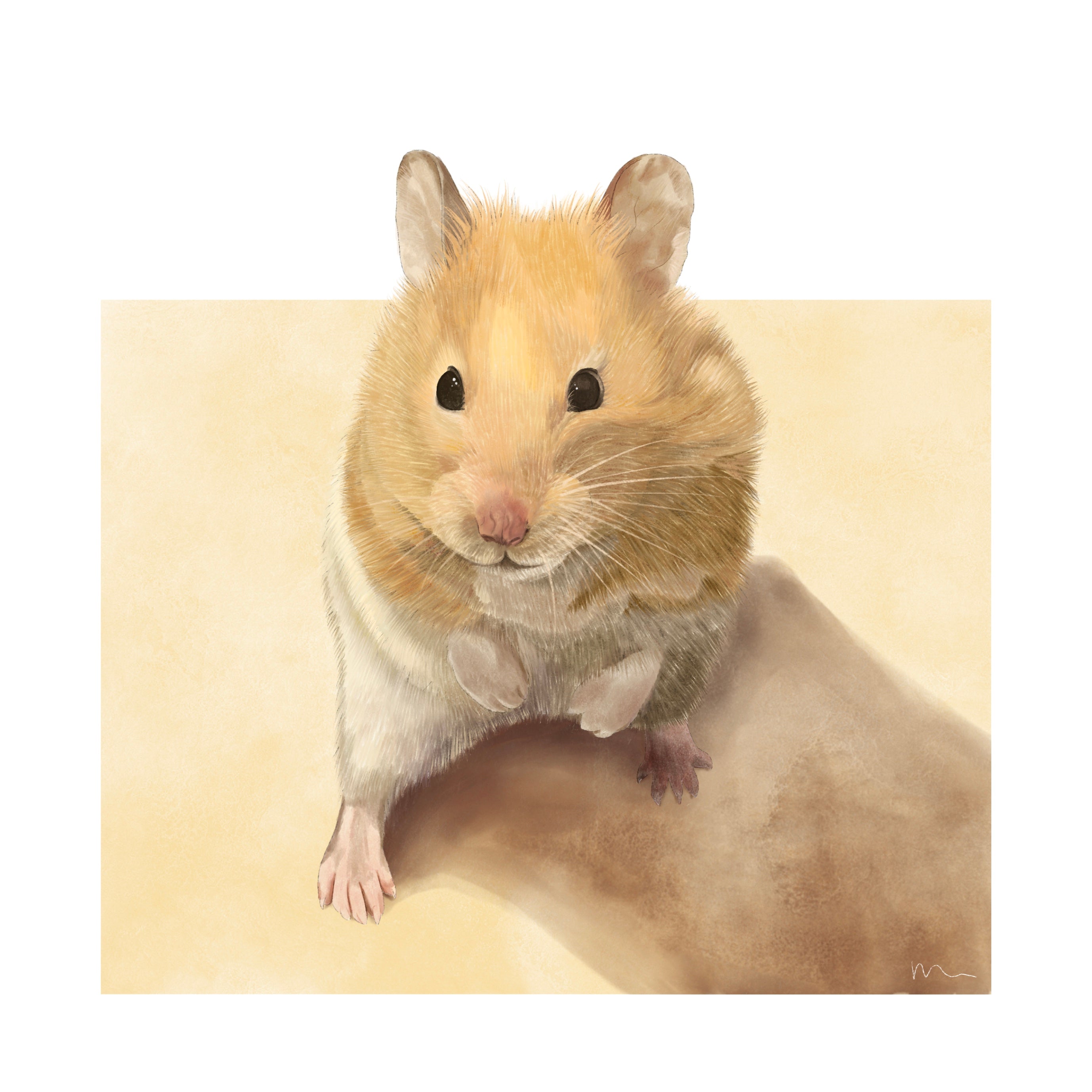 custom pet portrait of a blonde and white hamster