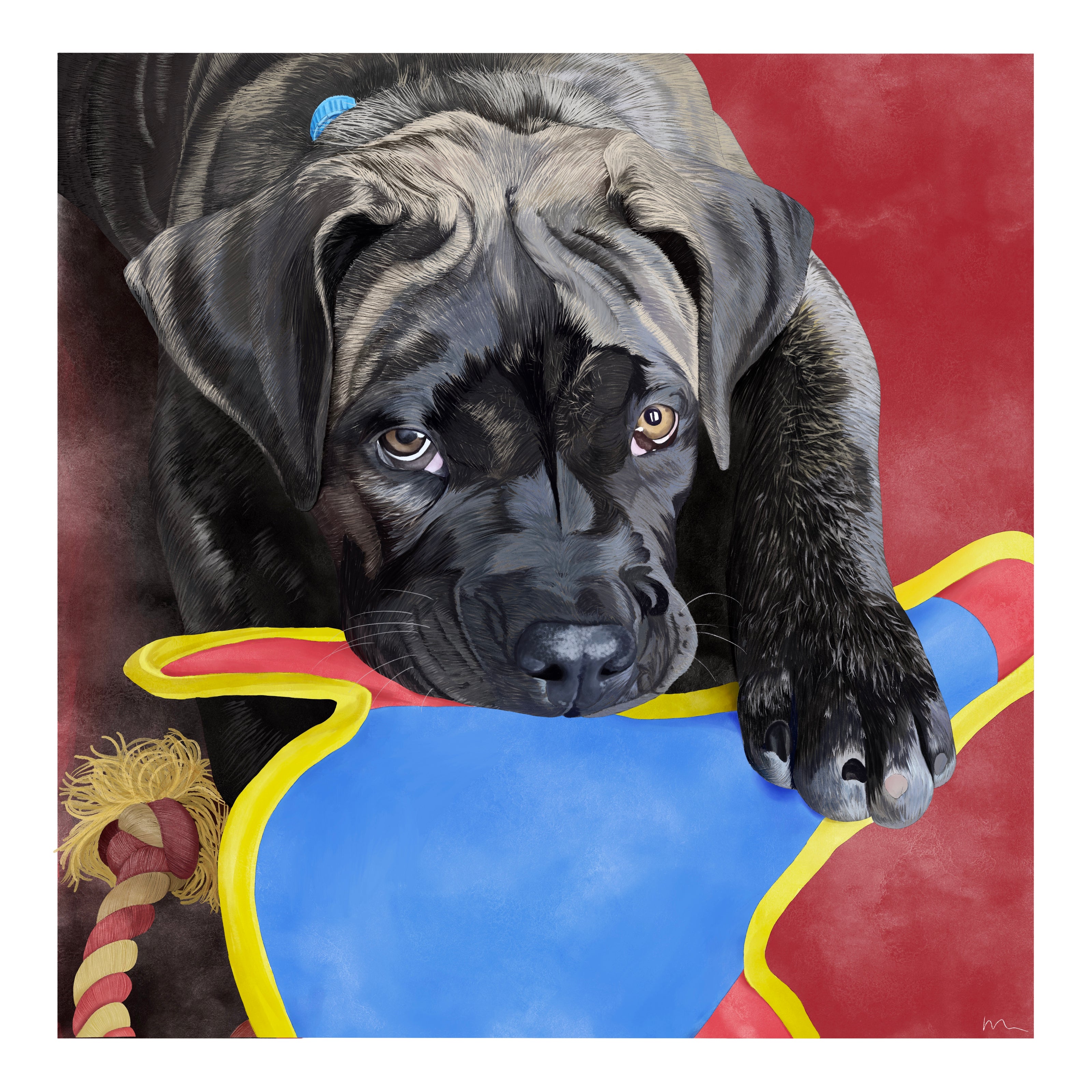 custom pet portrait of a mastiff cross puppy, chewing on a red, white and blue toy and looking up at you