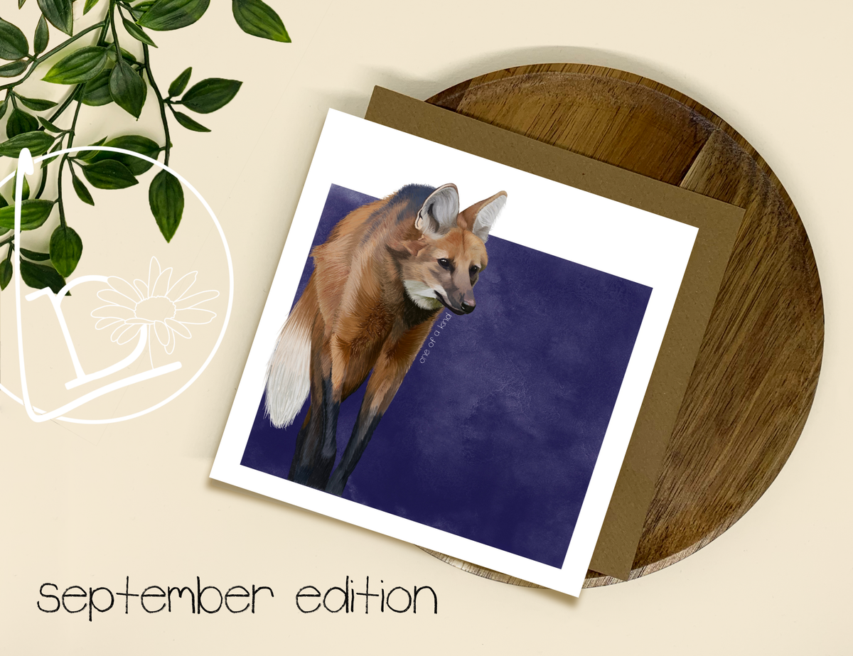 Milly's Menagerie - Previous Editions