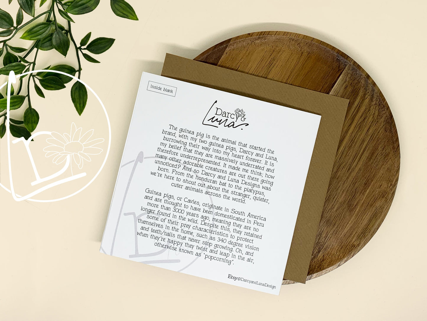 Back of an illustrated card of a black, white and ginger guinea pig.