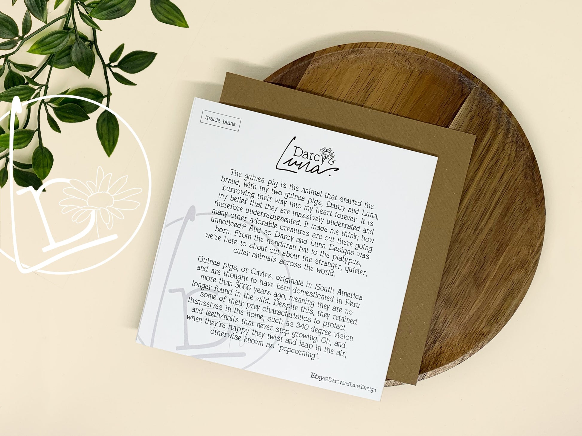 Back of an illustrated card of a black, white and ginger guinea pig.