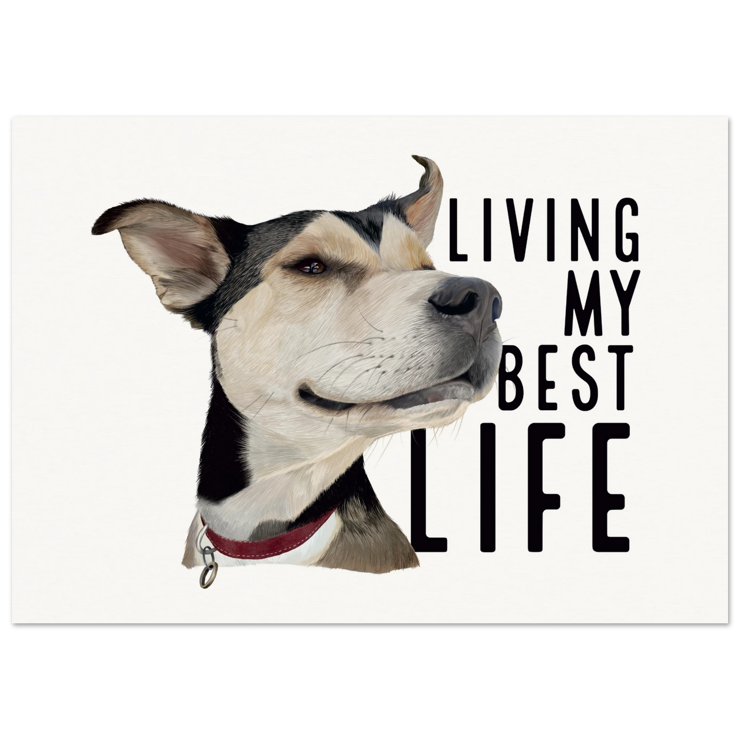 07ca866f-1915-429d-9d82-84782a4147c9