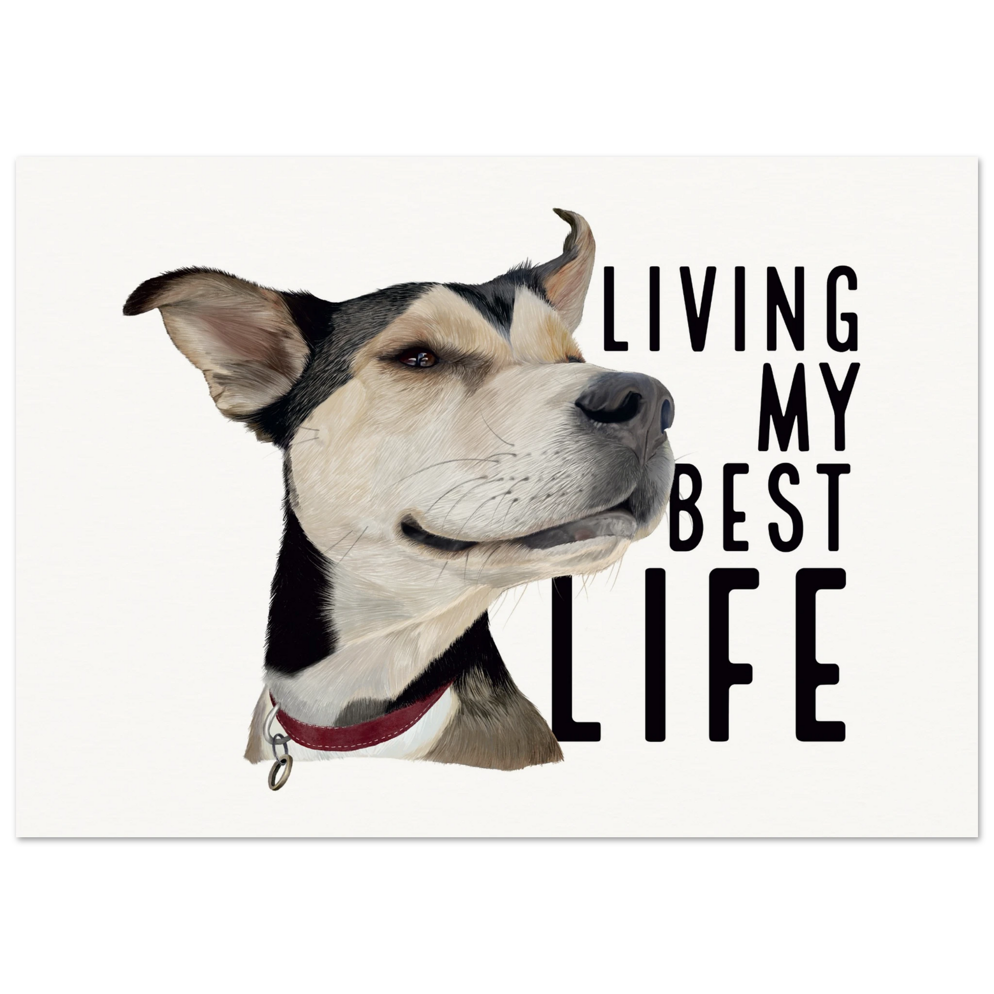 07ca866f-1915-429d-9d82-84782a4147c9