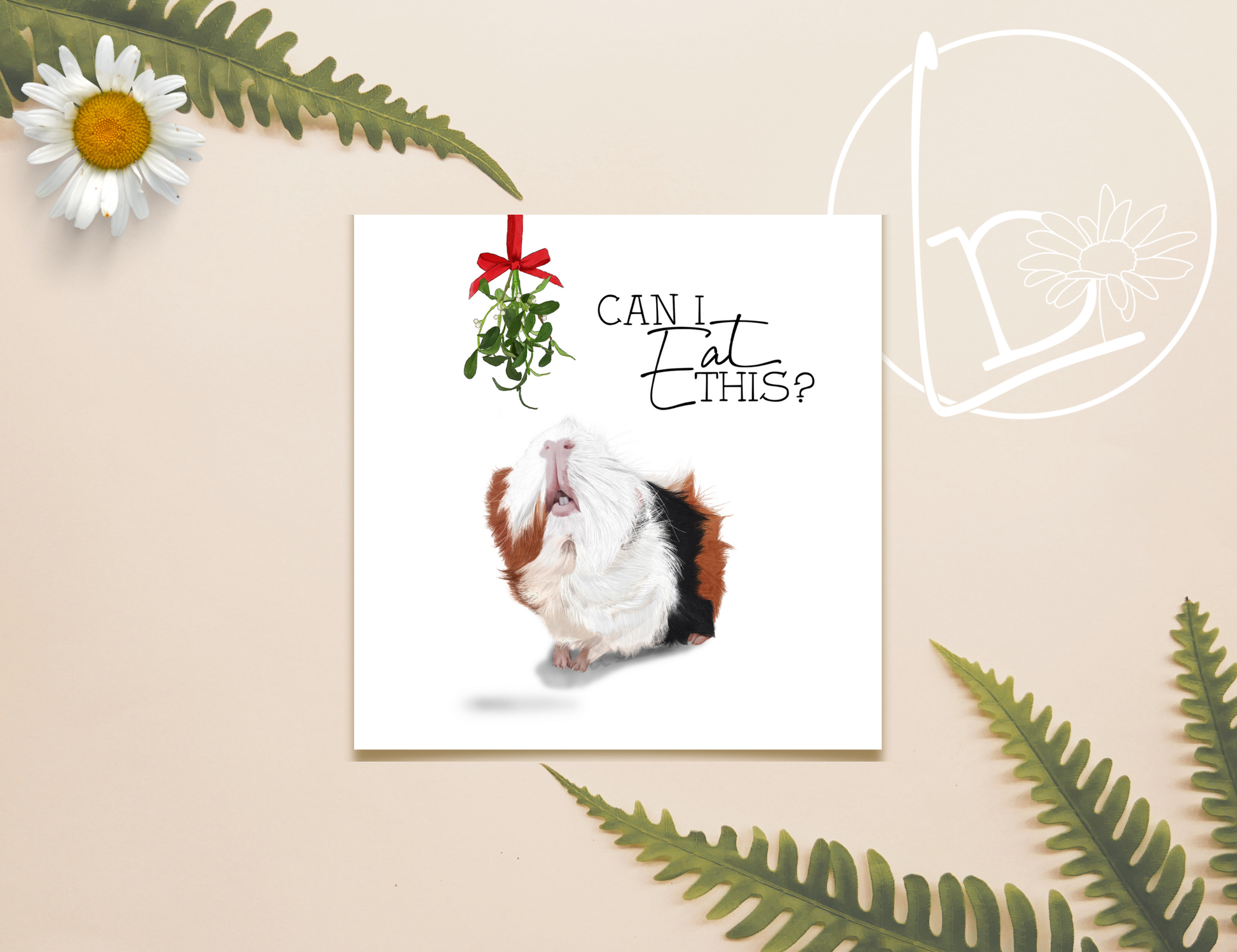 Illustration of a white, ginger and black guinea pig staring up at a bunch of mistletoe hanging from a red bow and asking "Can I eat this?"