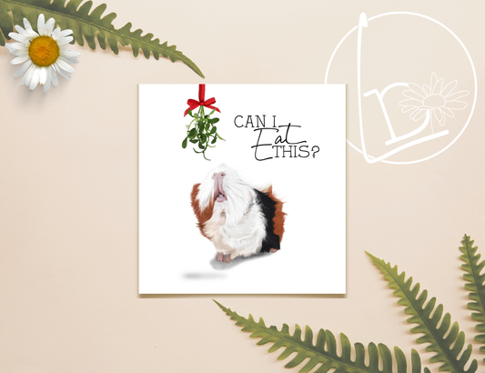 Illustration of a white, ginger and black guinea pig staring up at a bunch of mistletoe hanging from a red bow and asking "Can I eat this?"