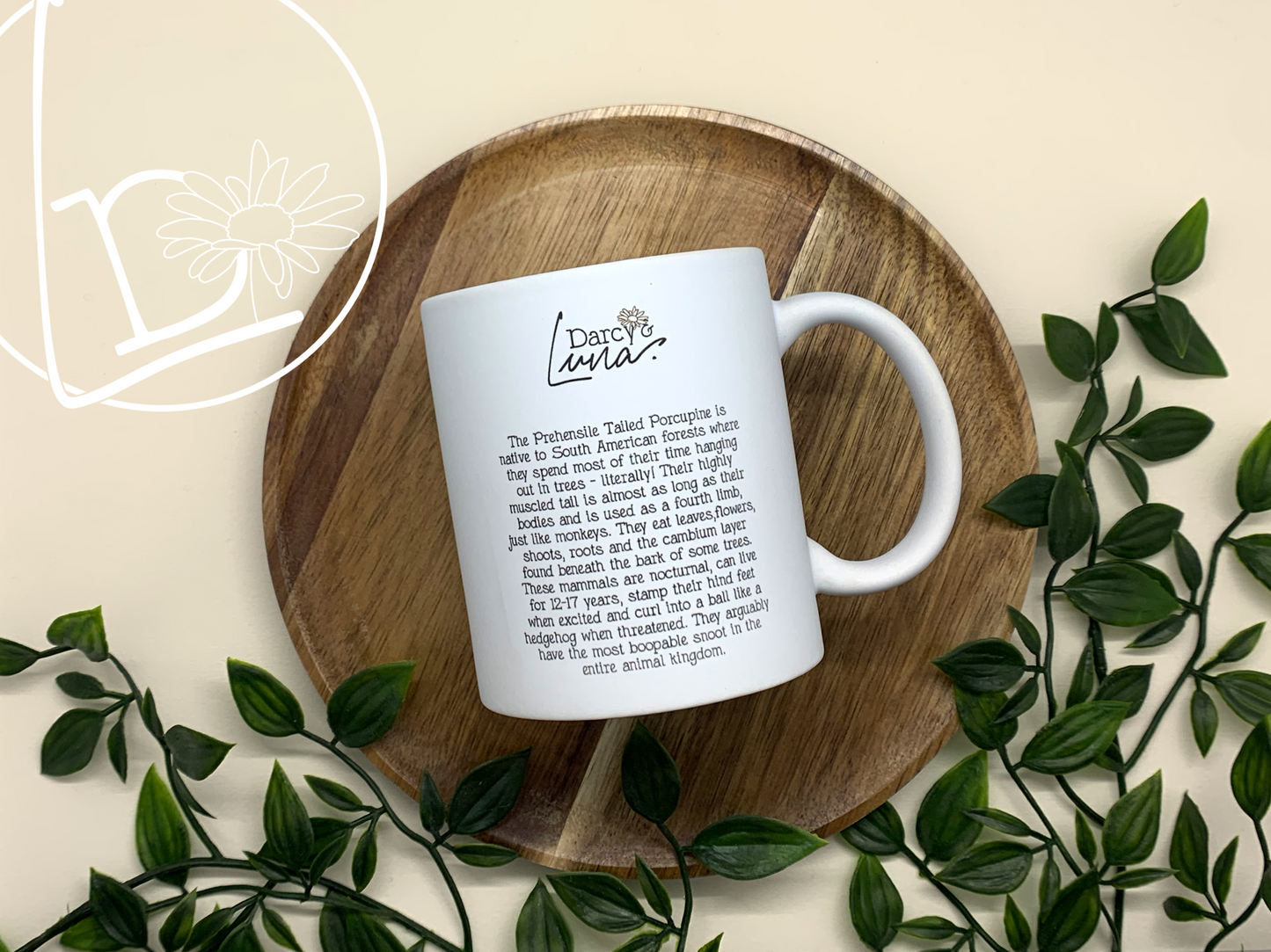 "Prickly But Cute" Porcupine Mug