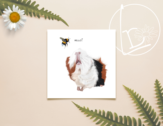 Illustration of a ginger, black and white guinea pig looking up at a bee as it hovers above her. The text says "hello?"