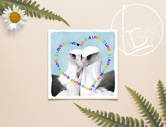 Illustration of two Layson Albatross snuggling. There is a sky blue background, and in the shape of a heart, in rainbow colours, the words "Love is Love" are repeated.