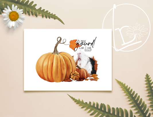 Illustration of a white, ginger and black guinea pig looking up at an enormous pumpkin, surrounded by smaller pumpkins and autumn leaves. The slogan reads "Oh my gourd! Can I eat this?"