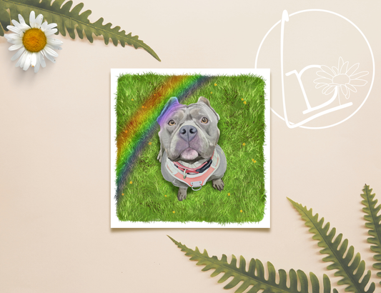 Illustration of a small, XL Bully cross breed dog looking up at you from a grassy lawn. A rainbow sweeps over the image from the left side to the top.