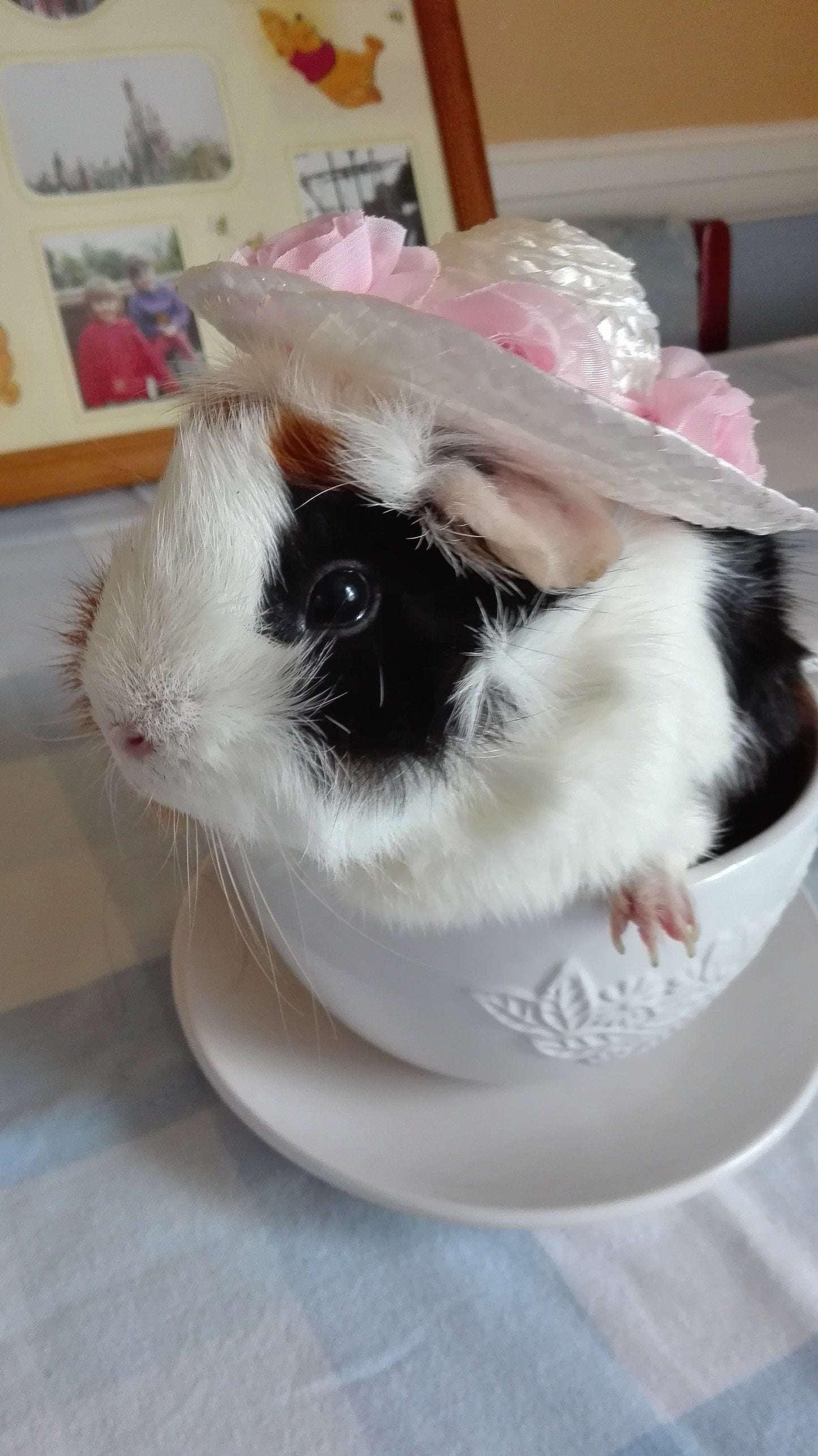 "Happy Easter" Guinea Pig Greeting Card