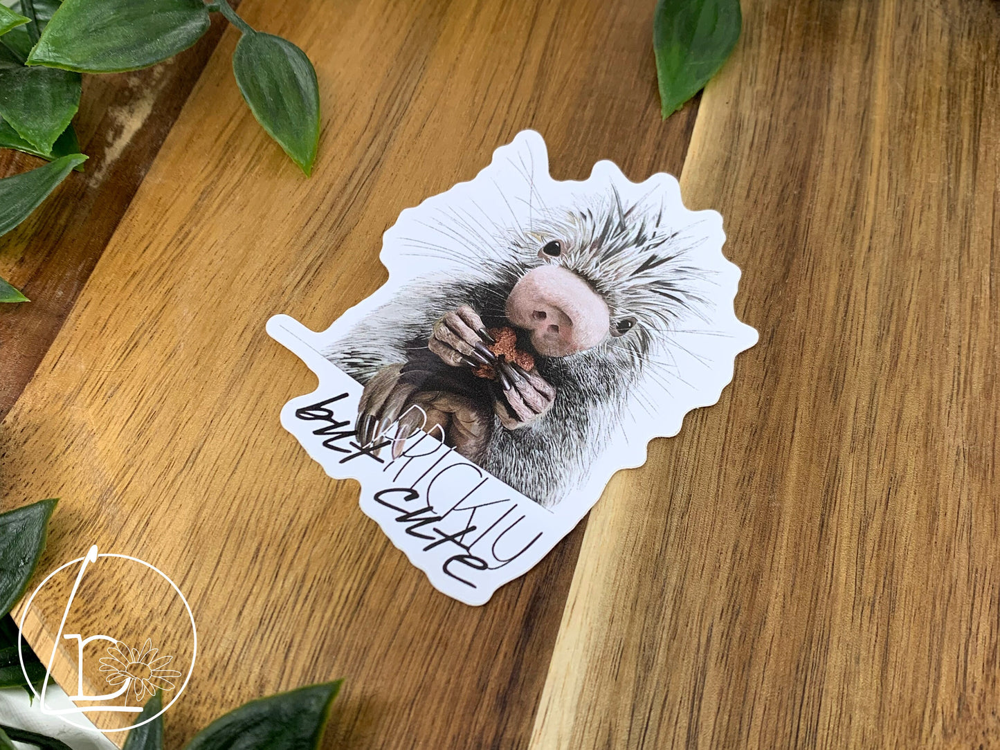 "Prickly but Cute" Porcupine Sticker