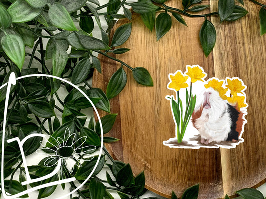 "Daffodils" Guinea Pig Sticker