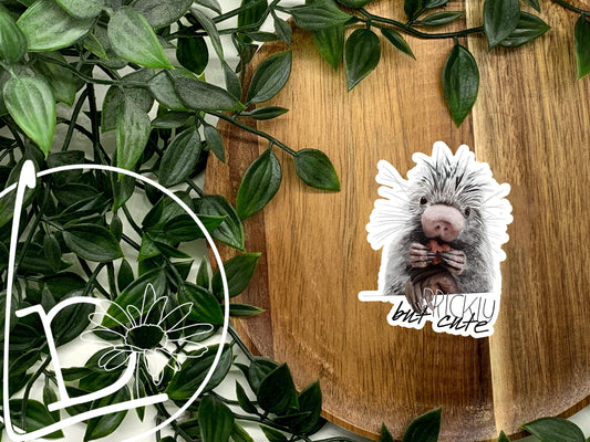 "Prickly but Cute" Porcupine Sticker