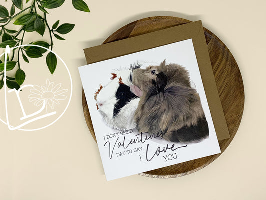 "Don't Need Valentine's" Guinea Pig Greeting Card